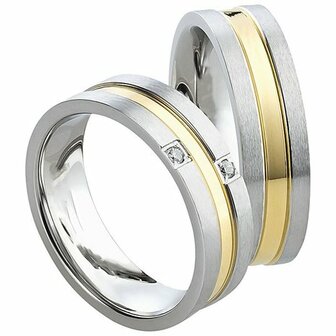 Ringen edelstaal met pvd bicolor